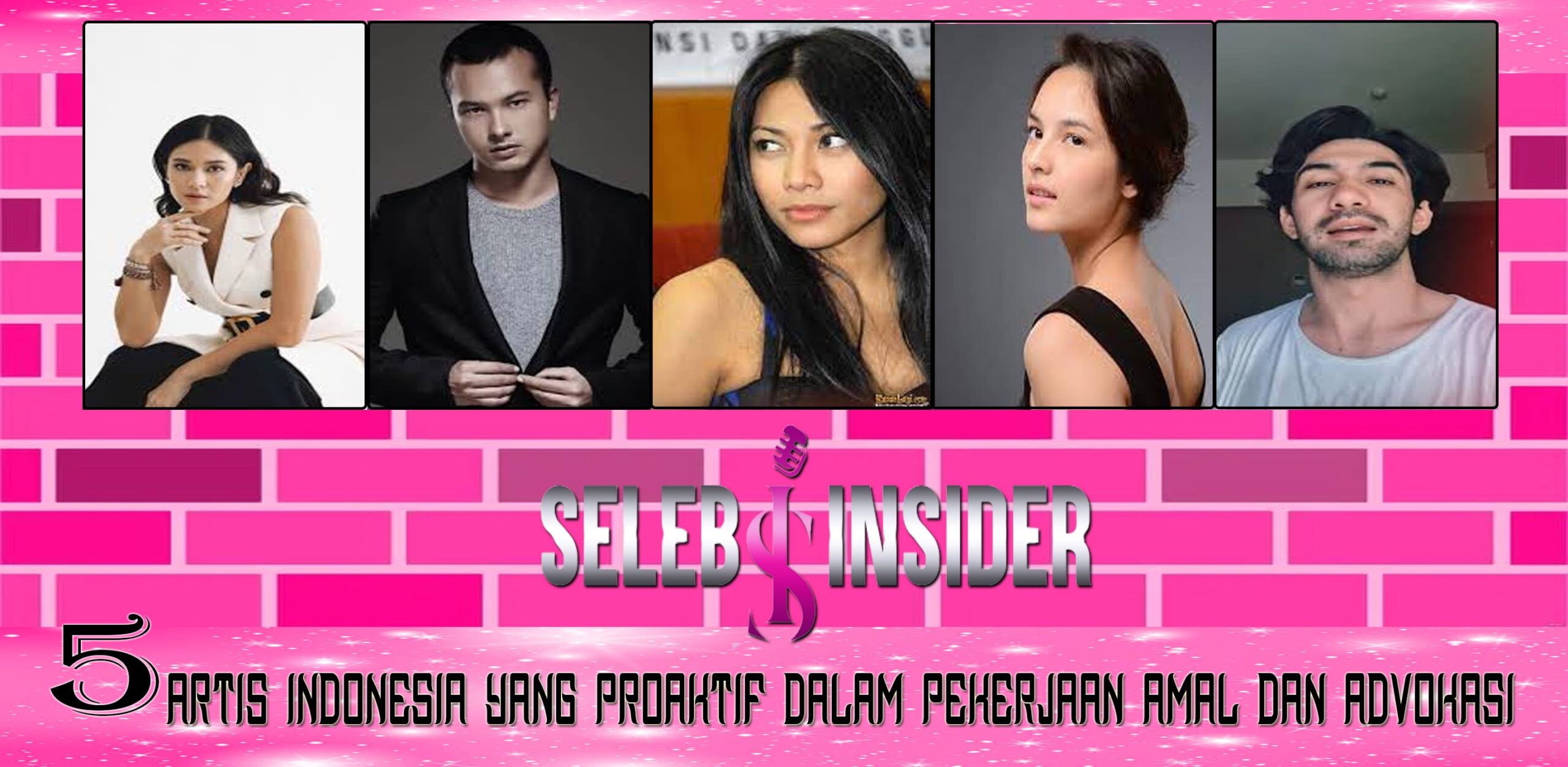 5 Artis Indonesia Proaktif